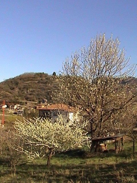 B&B La Pinara Тренто Екстер'єр фото