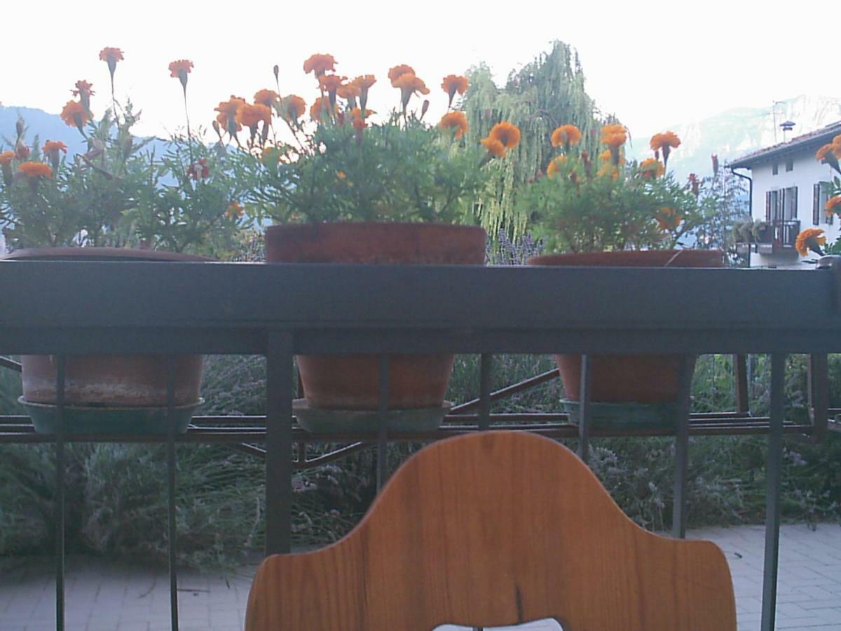B&B La Pinara Тренто Екстер'єр фото